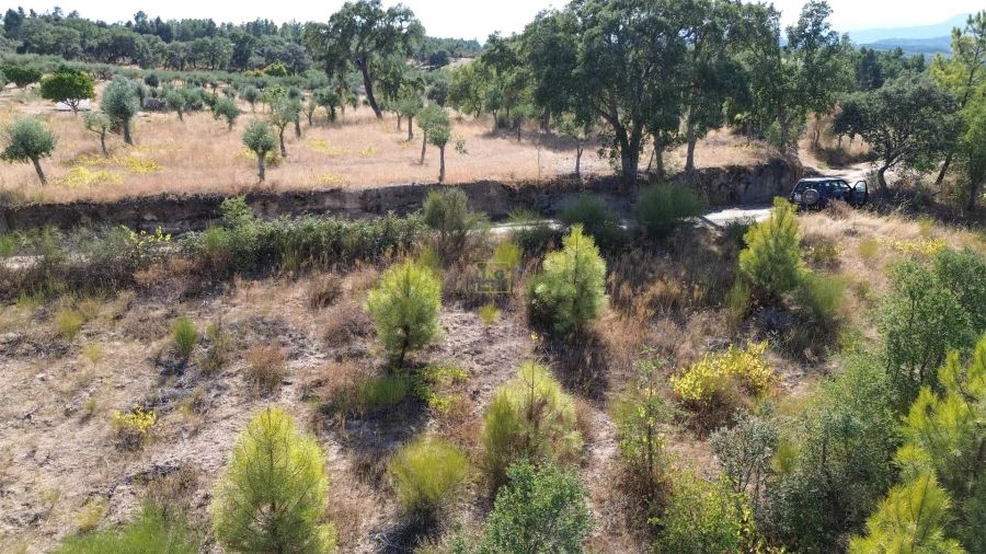 Terreno Agricola ou Rústico para Venda em Tinalhas Foto 15