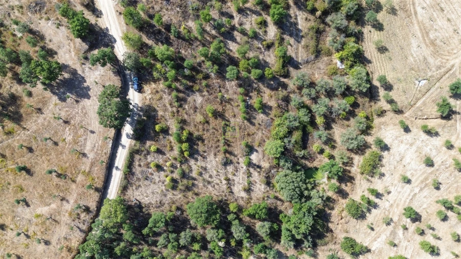 Terreno Agricola ou Rústico para Venda em Tinalhas Foto 1