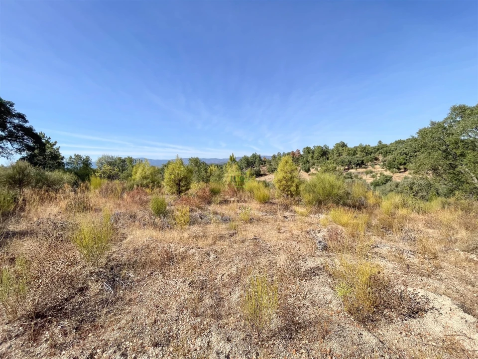 Terreno Agricola ou Rústico para Venda em Tinalhas Foto 18