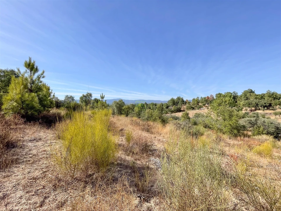 Terreno Agricola ou Rústico para Venda em Tinalhas Foto 24