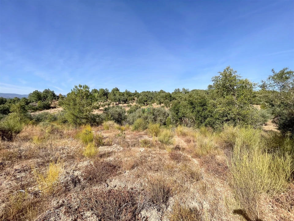 Terreno Agricola ou Rústico para Venda em Tinalhas Foto 25