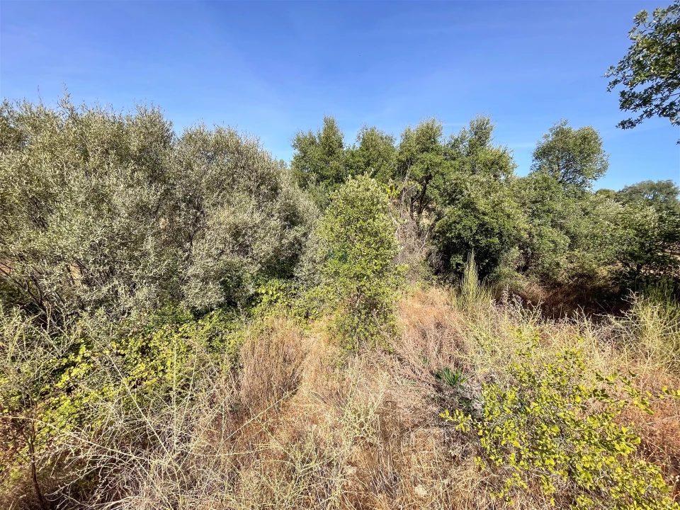 Terreno Agricola ou Rústico para Venda em Tinalhas Foto 28
