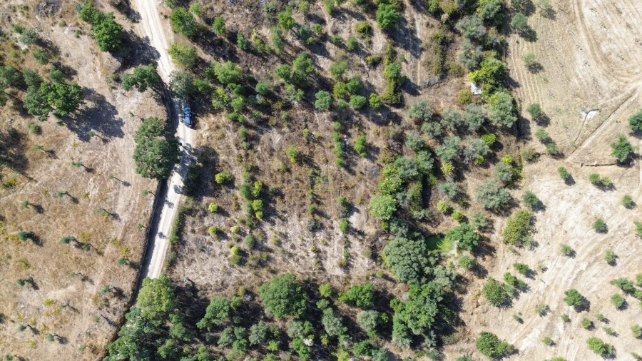 Terreno Agricola ou Rústico para Venda em Tinalhas