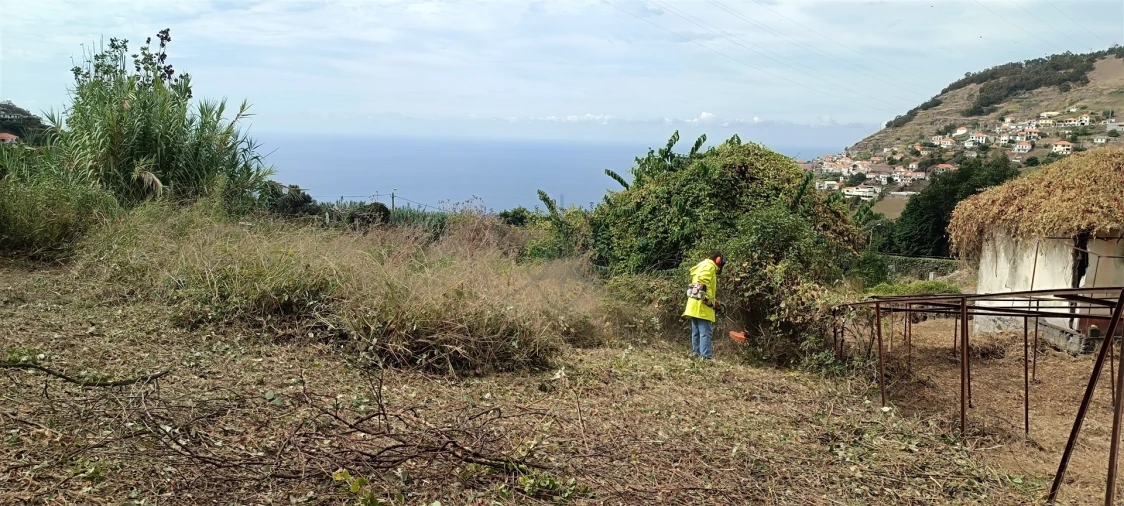 Terreno para Venda em Campanario Foto 7