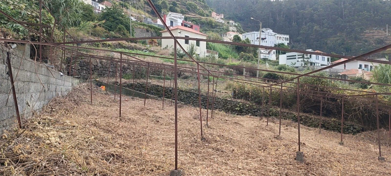 Terreno para Venda em Campanario Foto 10