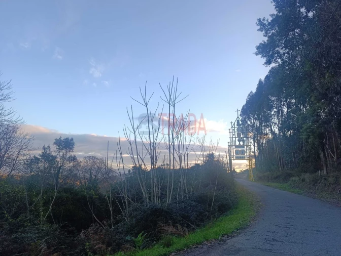 Terreno para Venda em Dossãos Foto 4