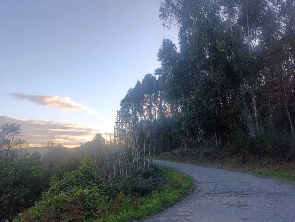 Terreno para Venda em Dossãos Foto 3