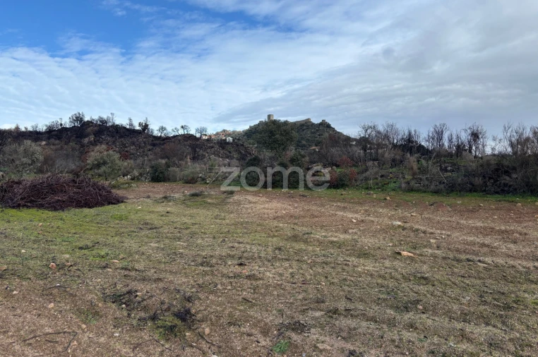 Terreno para Venda em Mêda, Outeiro de Gatos e Fonte Longa Foto 10
