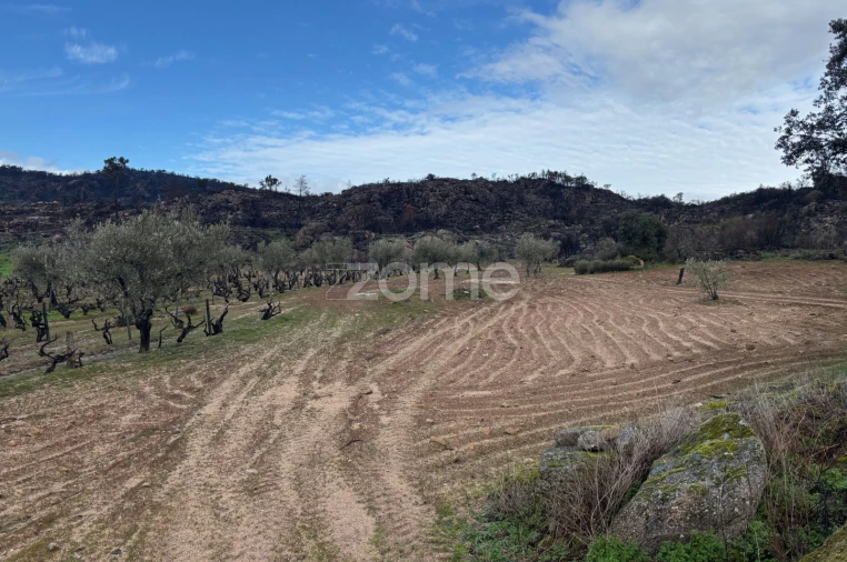 Terreno para Venda em Mêda, Outeiro de Gatos e Fonte Longa Foto 11