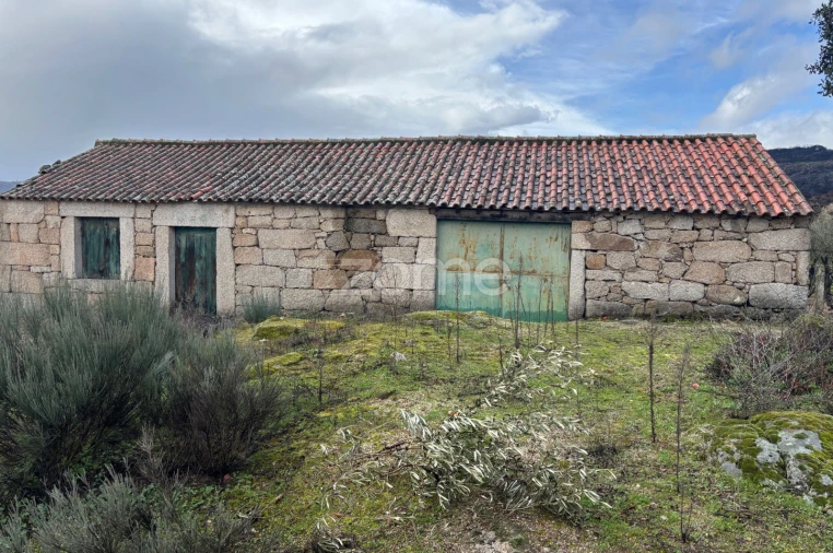 Terreno para Venda em Mêda, Outeiro de Gatos e Fonte Longa Foto 13