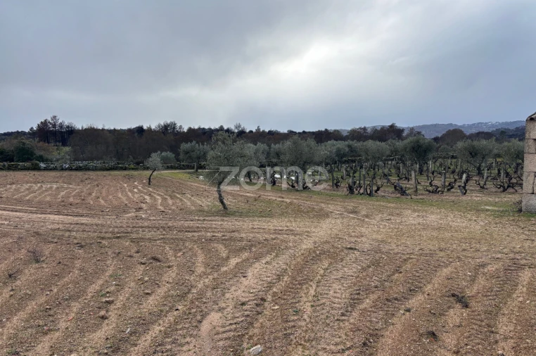 Terreno para Venda em Mêda, Outeiro de Gatos e Fonte Longa Foto 12