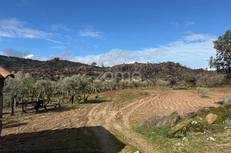 Terreno para Venda em Mêda, Outeiro de Gatos e Fonte Longa Foto 4