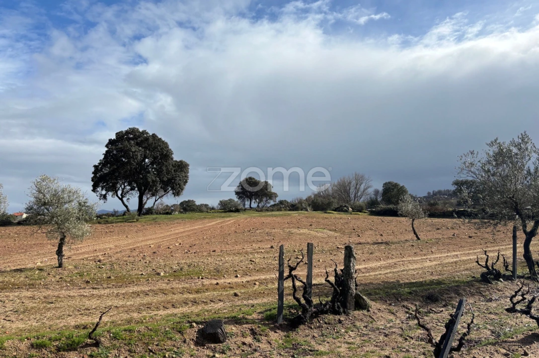 Terreno para Venda em Mêda, Outeiro de Gatos e Fonte Longa Foto 9