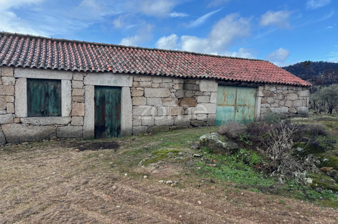 Terreno para Venda em Mêda, Outeiro de Gatos e Fonte Longa Foto 14