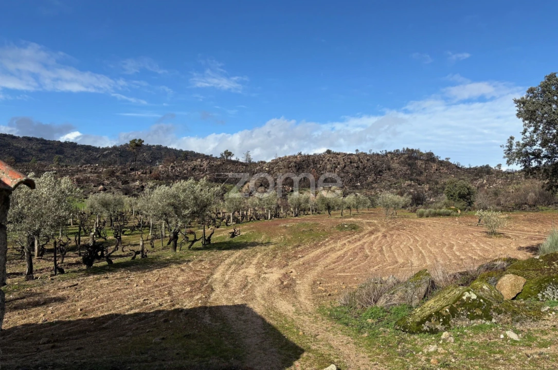 Terreno para Venda em Mêda, Outeiro de Gatos e Fonte Longa Foto 4