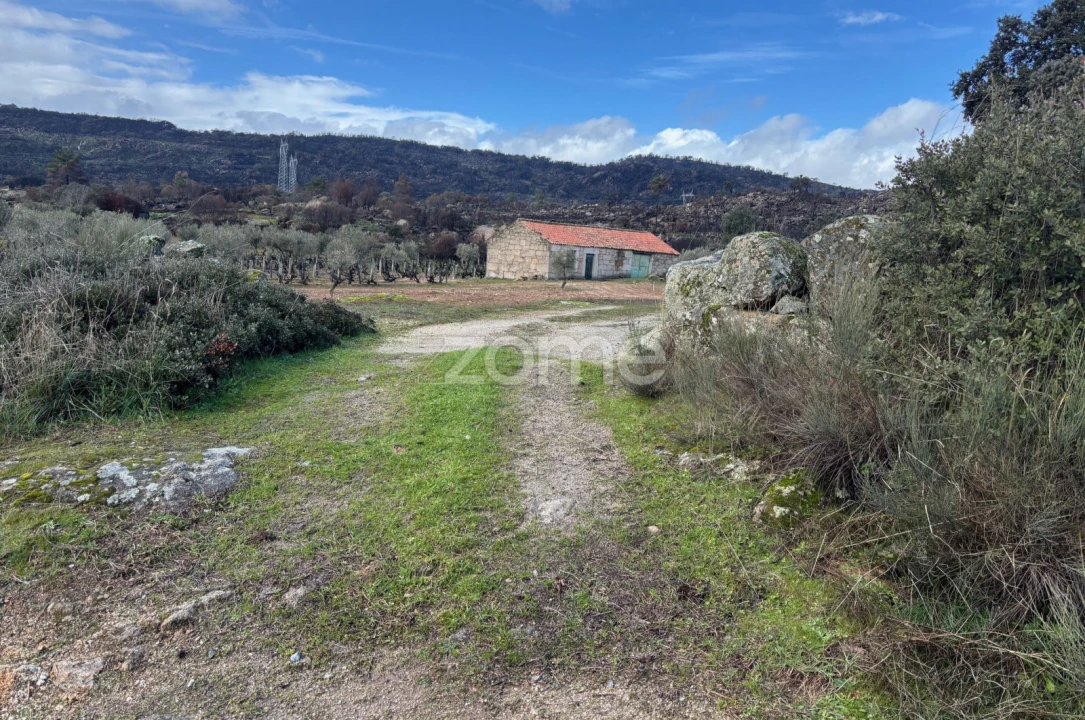 Terreno para Venda em Mêda, Outeiro de Gatos e Fonte Longa Foto 1