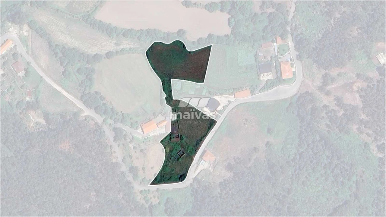 Negócio para Venda em Pico de Regalados, Gondiães e Mós Foto 7