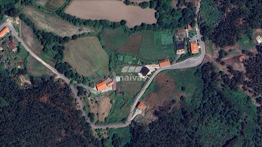 Negócio para Venda em Pico de Regalados, Gondiães e Mós Foto 2