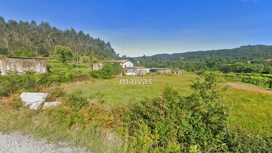 Negócio para Venda em Pico de Regalados, Gondiães e Mós Foto 5