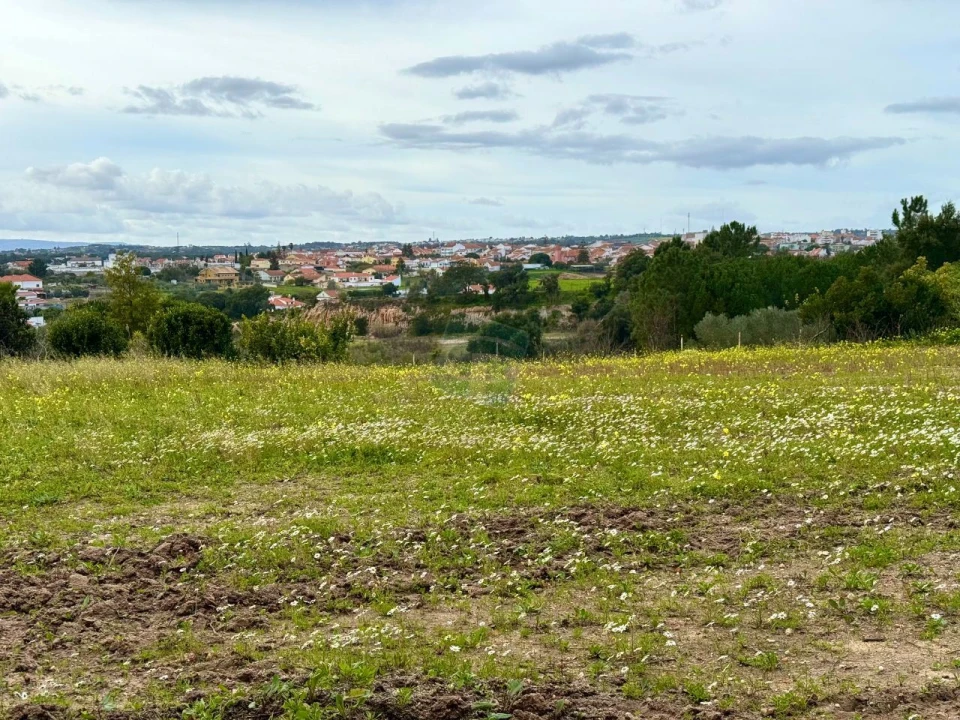 Terreno para Venda em Cartaxo e Vale da Pinta Foto 5