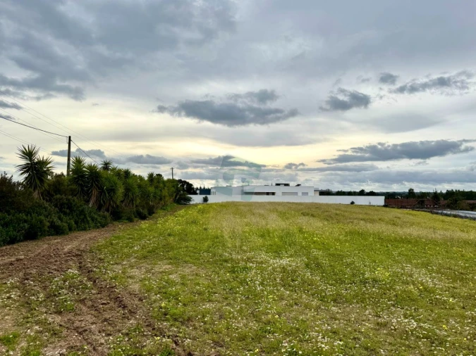 Terreno para Venda em Cartaxo e Vale da Pinta Foto 1
