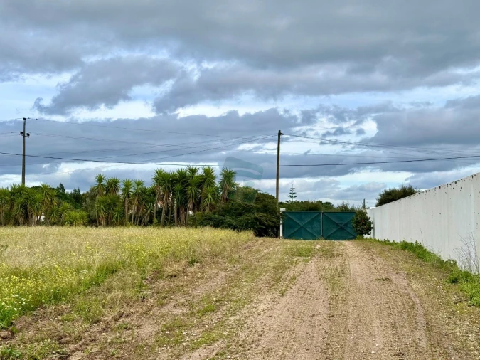 Terreno para Venda em Cartaxo e Vale da Pinta Foto 22