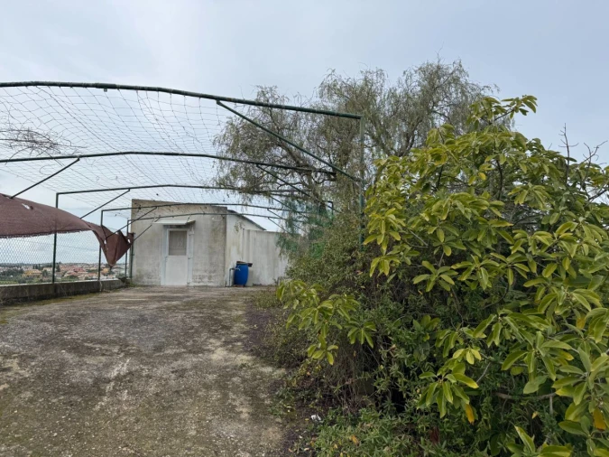 Terreno para Venda em Cartaxo e Vale da Pinta Foto 2