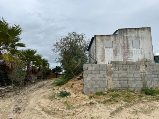 Terreno para Venda em Cartaxo e Vale da Pinta Foto 18