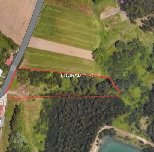 Terreno para Venda em Ílhavo (São Salvador) Foto 2