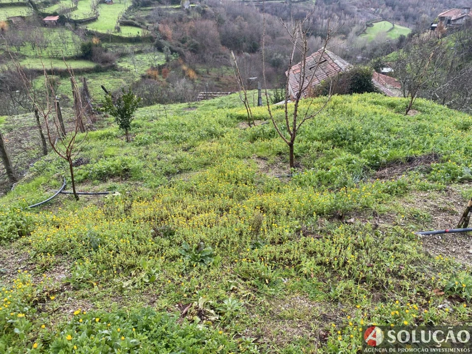 Moradia T3 para Venda em Resende Foto 12