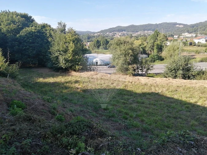 Terreno para Venda em Carregosa Foto 2