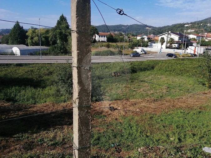 Terreno para Venda em Carregosa Foto 4
