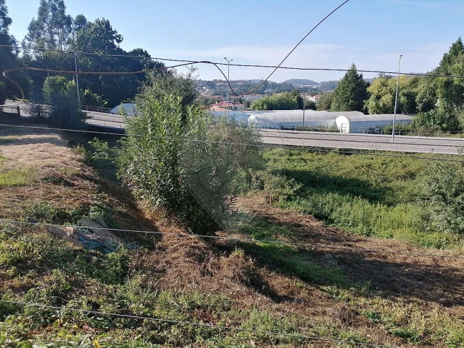 Terreno para Venda em Carregosa Foto 1