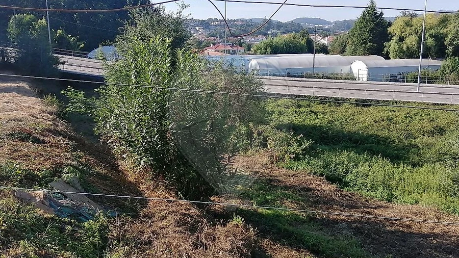 Terreno para Venda em Carregosa