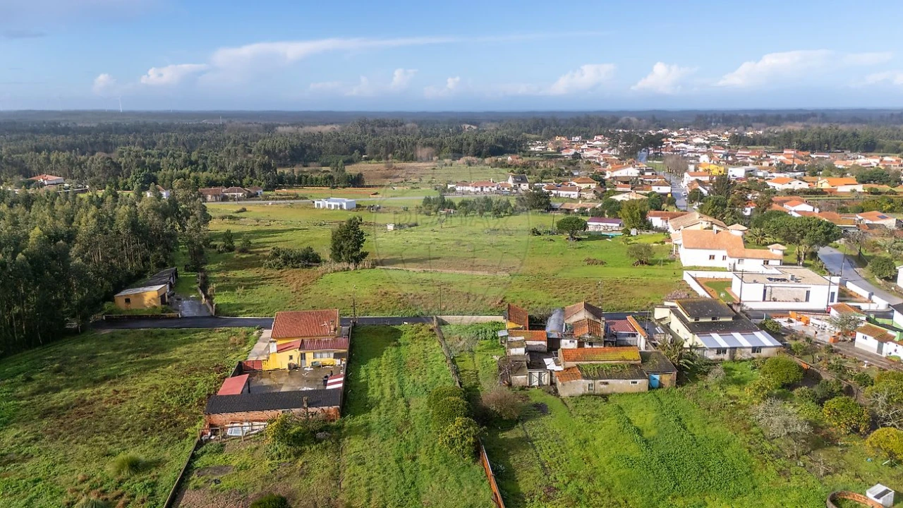 Terreno para Venda em Mira Foto 1