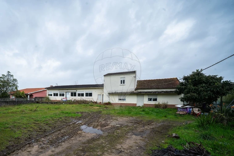 Moradia T3 para Venda em Angeja