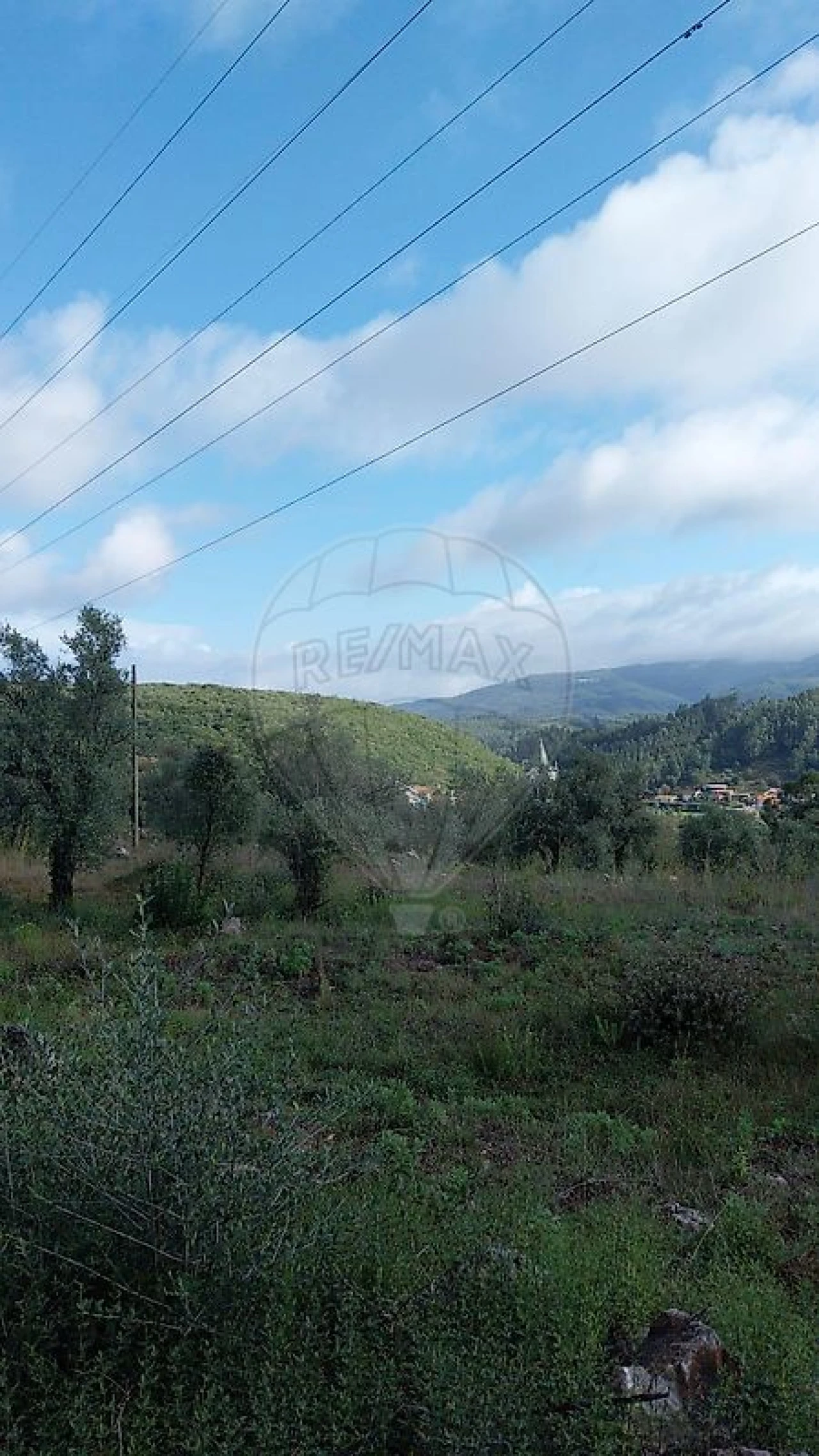 Terreno para Venda em São Miguel, Santa Eufémia e Rabaçal Foto 5