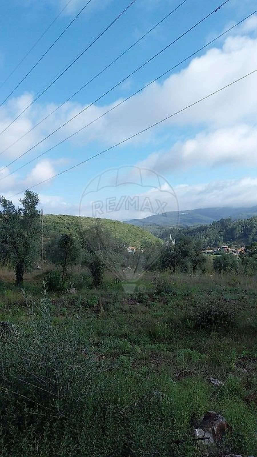 Terreno para Venda em São Miguel, Santa Eufémia e Rabaçal Foto 5