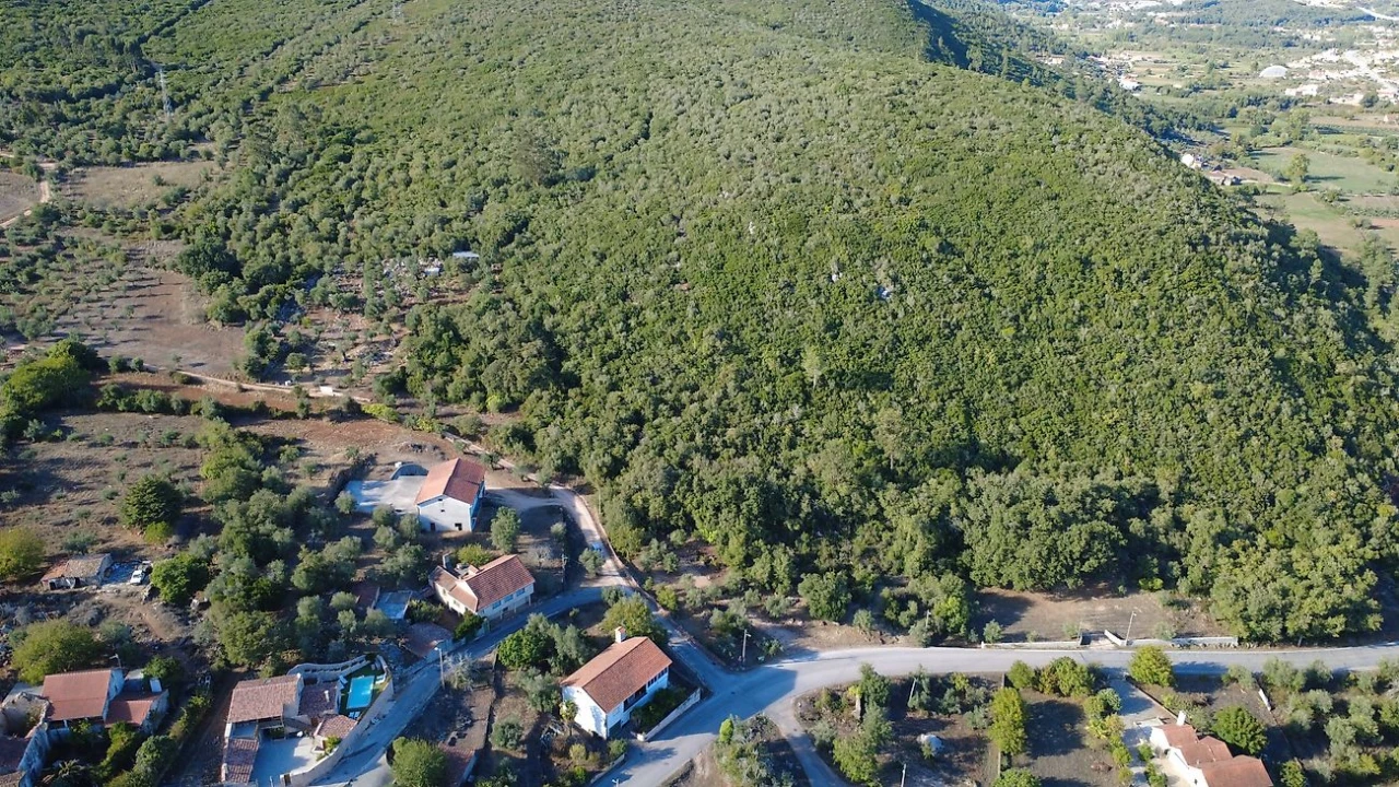 Terreno para Venda em São Miguel, Santa Eufémia e Rabaçal Foto 1