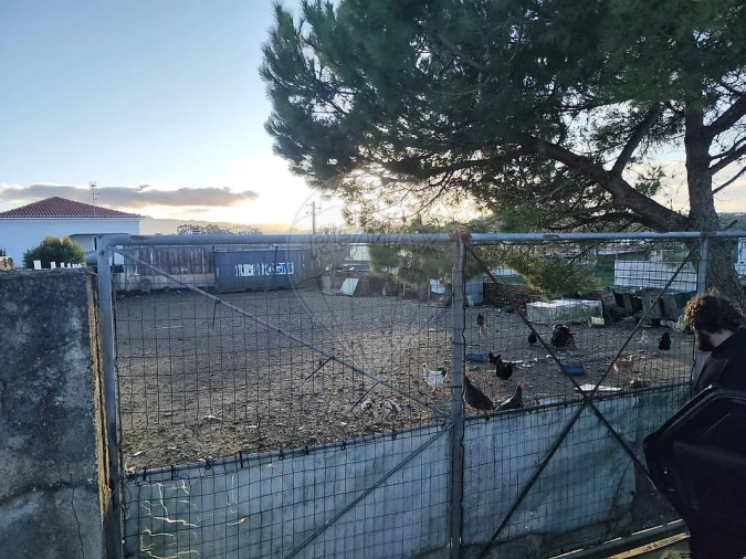 Terreno para Venda em São João das Lampas e Terrugem Foto 2