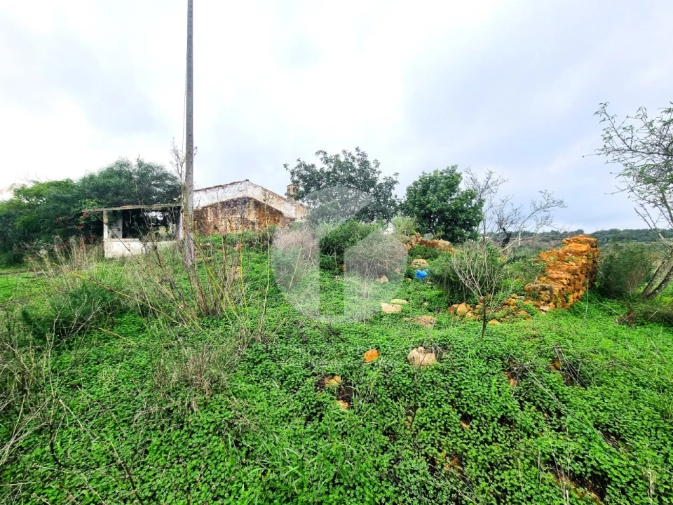 Moradia para Venda em Quelfes Foto 4