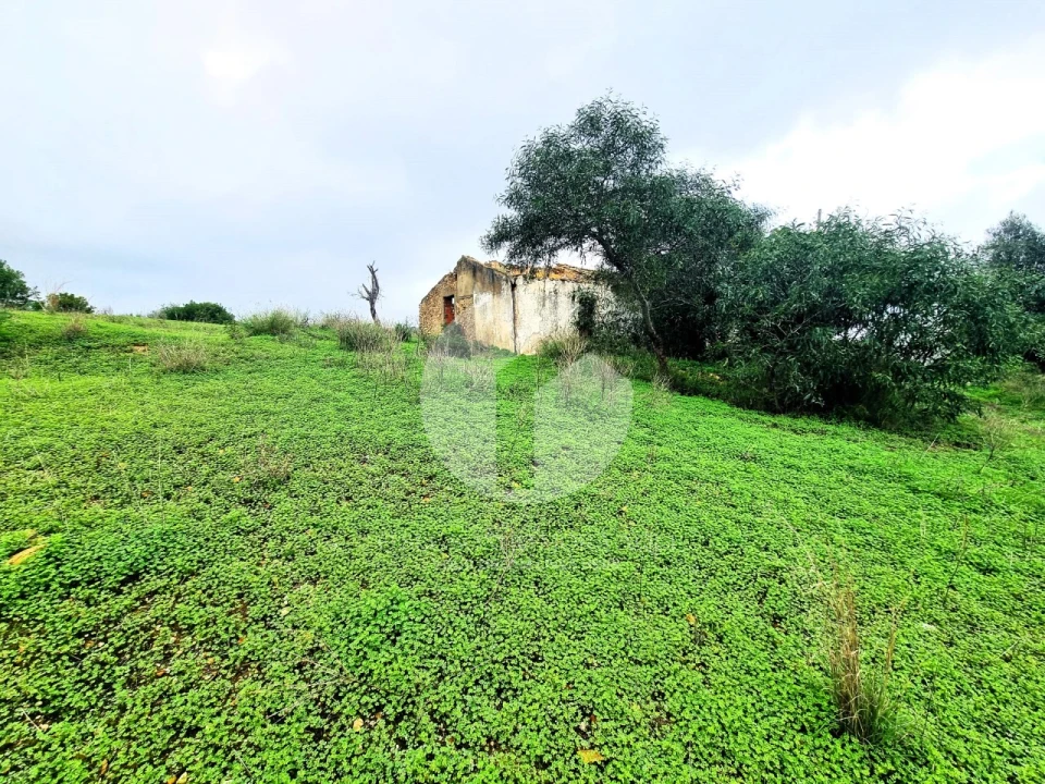 Moradia para Venda em Quelfes Foto 6