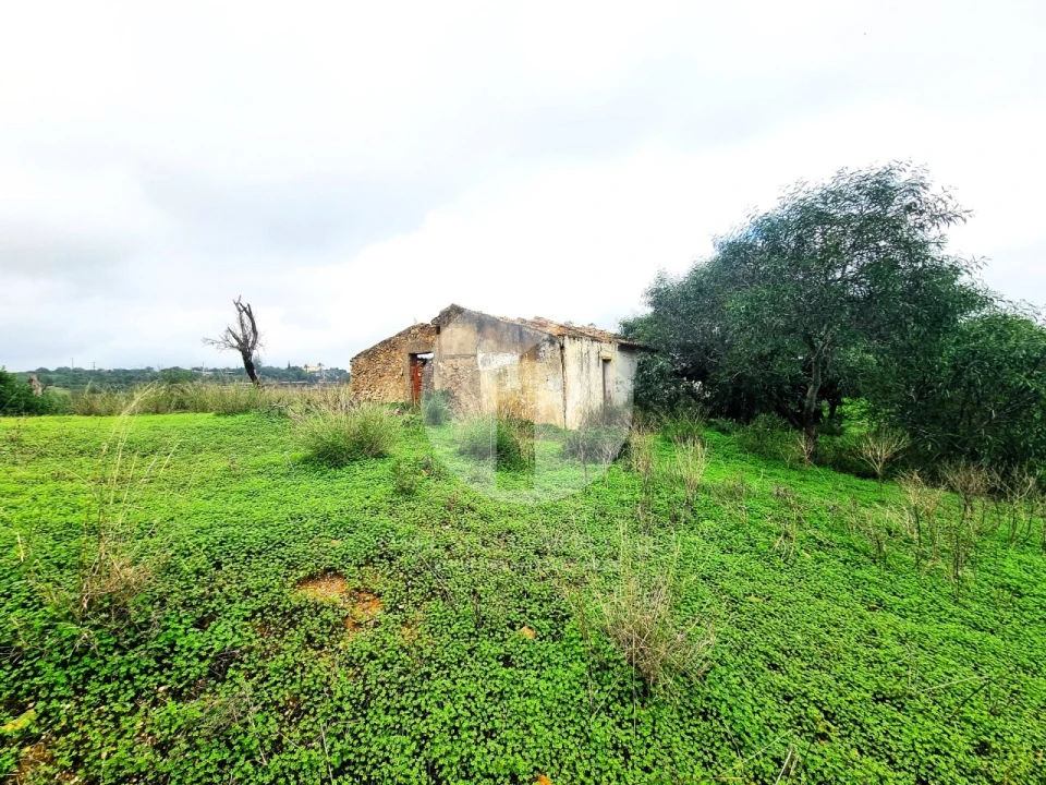 Moradia para Venda em Quelfes Foto 7