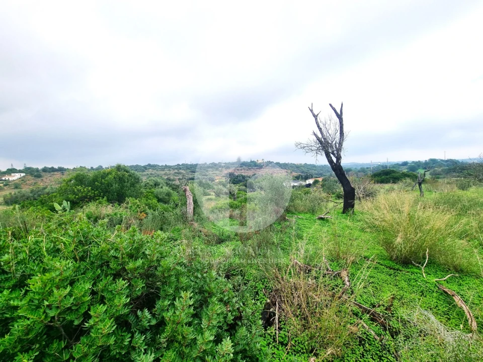Moradia para Venda em Quelfes Foto 10