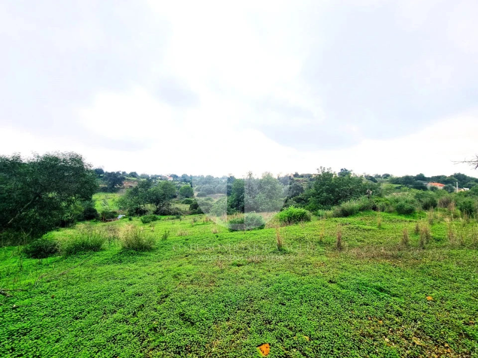 Moradia para Venda em Quelfes Foto 11