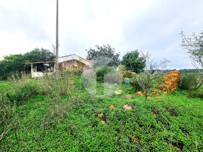 Moradia para Venda em Quelfes Foto 4