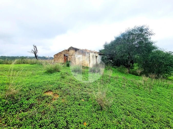 Moradia para Venda em Quelfes Foto 5