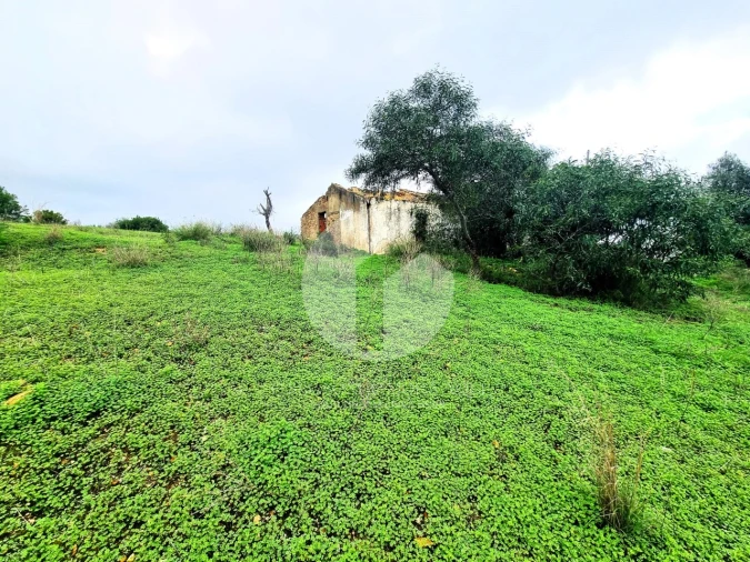Moradia para Venda em Quelfes Foto 6