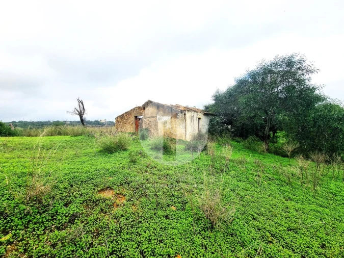 Moradia para Venda em Quelfes Foto 7
