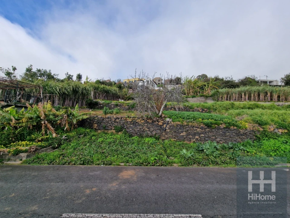 Terreno Agricola ou Rústico para Venda em Ribeira Brava Foto 2